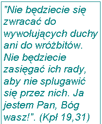 Pole tekstowe: "Nie będziecie się zwracać do wywołujących duchy ani do wróżbitów. Nie będziecie zasięgać ich rady, aby nie splugawić się przez nich. Ja jestem Pan, Bóg wasz!". (Kpł 19,31)